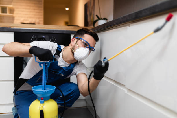 Best Wasp Removal Services  in Lenwood, CA