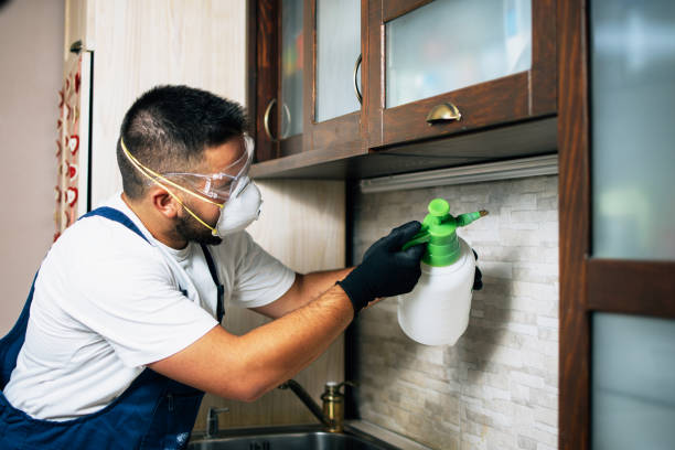 Best Termite Control Services  in Lenwood, CA