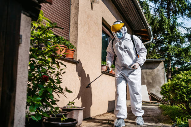 Best Bed Bug Extermination  in Lenwood, CA