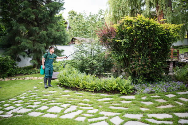 Wildlife Control Services in Lenwood, CA