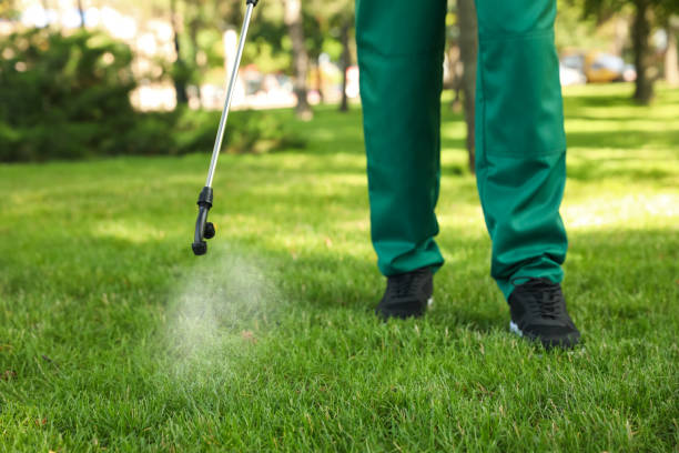 Best Ant Control Services  in Lenwood, CA