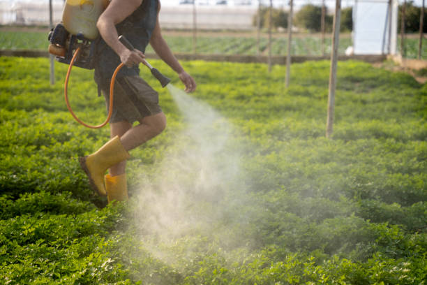 Best Best Pest Control Companies  in Lenwood, CA