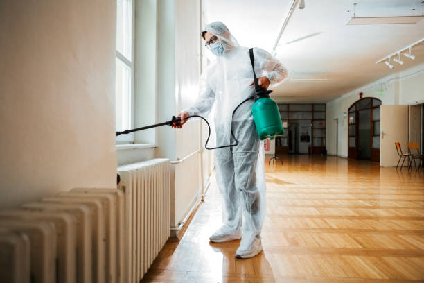 Best Bed Bug Extermination  in Lenwood, CA
