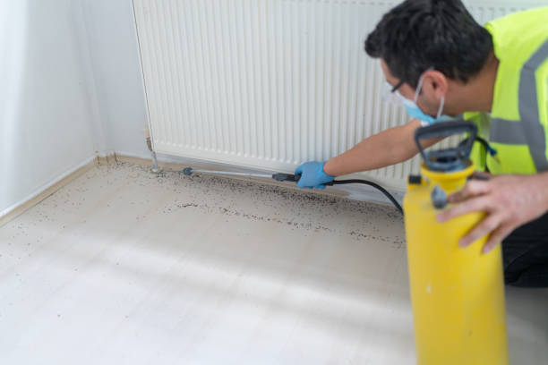 Best Exterminator Services  in Lenwood, CA